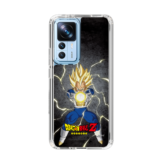 スリムプロテクションケース［ ドラゴンボールZ - コンプリートボックス限定 - ベジータ ］
