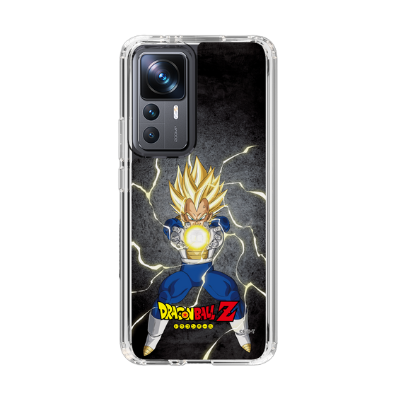 スリムプロテクションケース［ ドラゴンボールZ - コンプリートボックス限定 - ベジータ ］