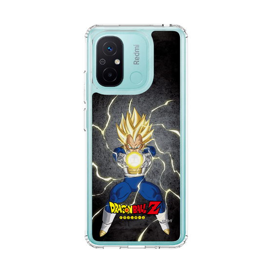スリムプロテクションケース［ ドラゴンボールZ - コンプリートボックス限定 - ベジータ ］