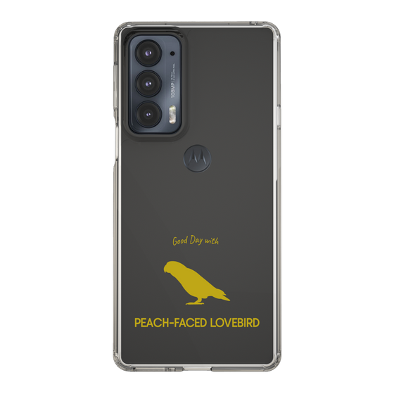 スリムプロテクションケース［ &UCHINOCO - コザクラインコ ］