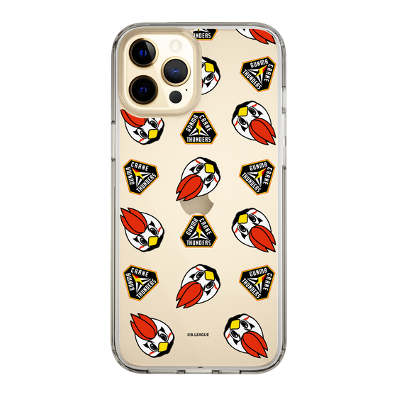 スリムプロテクションケース［ B.LEAGUE - 群馬クレインサンダーズ ］