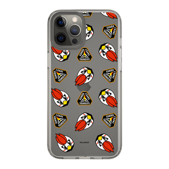 スリムプロテクションケース［ B.LEAGUE - 群馬クレインサンダーズ ］