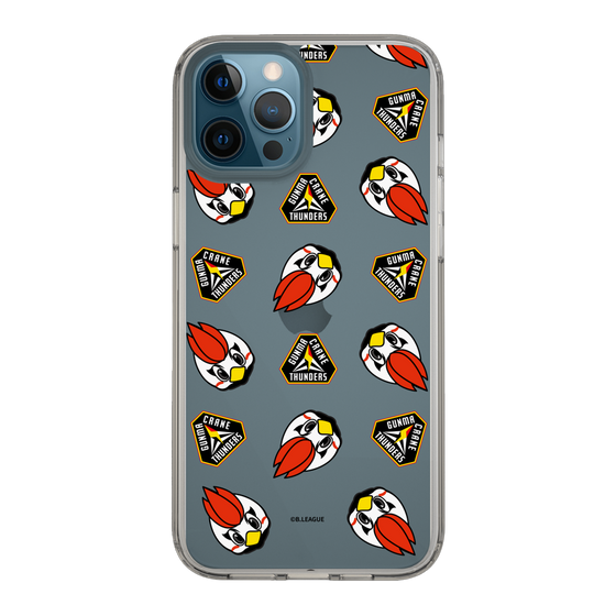 スリムプロテクションケース［ B.LEAGUE - 群馬クレインサンダーズ ］