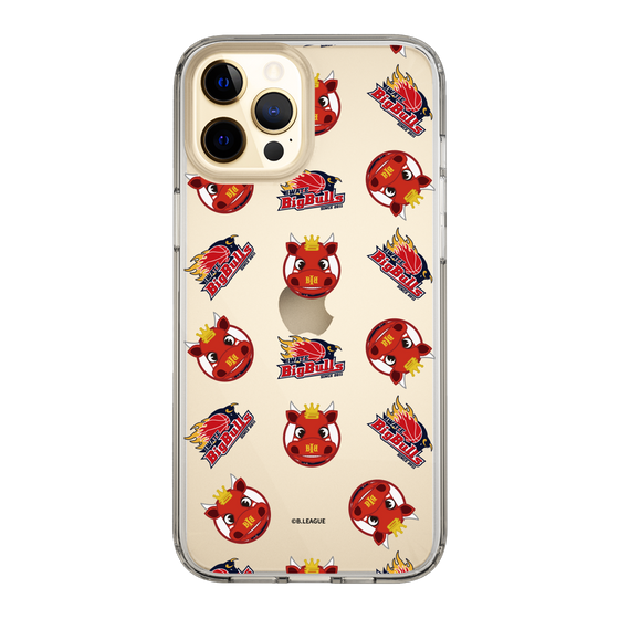 スリムプロテクションケース［ B.LEAGUE - 岩手ビッグブルズ ］