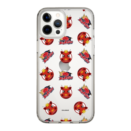 スリムプロテクションケース［ B.LEAGUE - 岩手ビッグブルズ ］