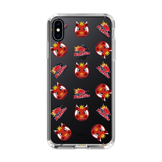 スリムプロテクションケース［ B.LEAGUE - 岩手ビッグブルズ ］