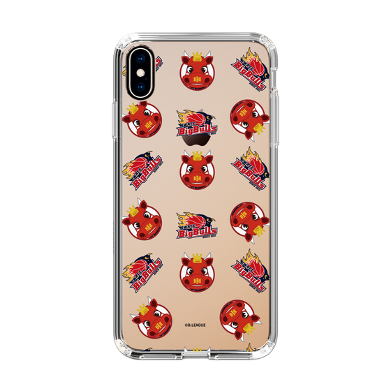 スリムプロテクションケース［ B.LEAGUE - 岩手ビッグブルズ ］