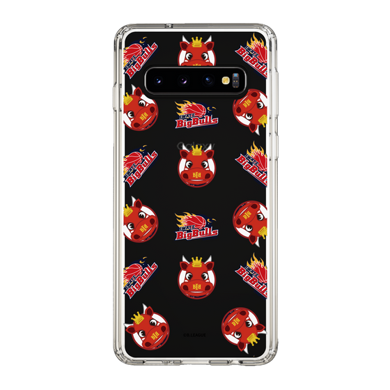 スリムプロテクションケース［ B.LEAGUE - 岩手ビッグブルズ ］