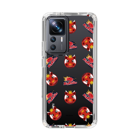 スリムプロテクションケース［ B.LEAGUE - 岩手ビッグブルズ ］