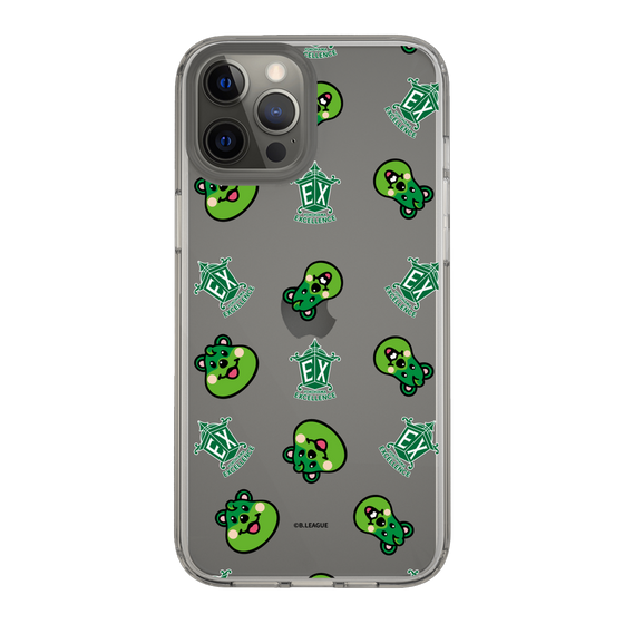 スリムプロテクションケース［ B.LEAGUE - 横浜エクセレンス ］