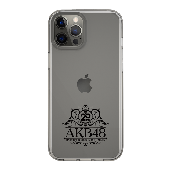 スリムプロテクションケース［ AKB48 - 20th武道館コンサートロゴ ］