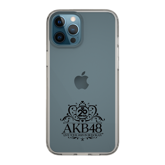 スリムプロテクションケース［ AKB48 - 20th武道館コンサートロゴ ］