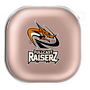 ワイヤレスイヤホンケース［ D.LEAGUE - FULLCAST RAISERZ - ロゴB ］