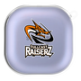 ワイヤレスイヤホンケース［ D.LEAGUE - FULLCAST RAISERZ - ロゴB ］