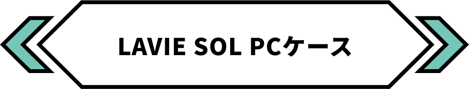 LAVIE SOL PCケース