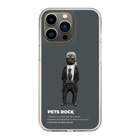 スリムプロテクションケース［ PETS ROCK - Fashion ］