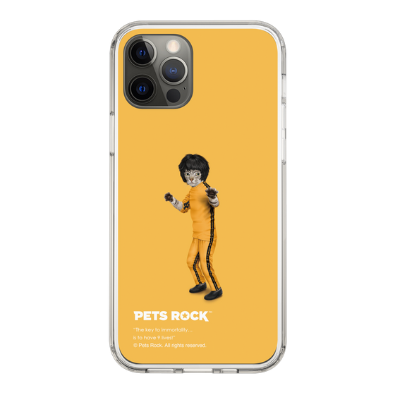 スリムプロテクションケース［ PETS ROCK - Kung Fu ］